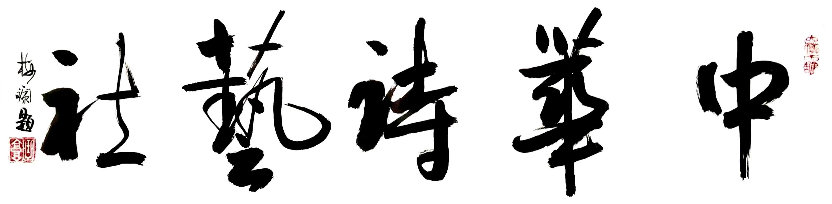 花草集(18)，玉兰花在枝头浅笑