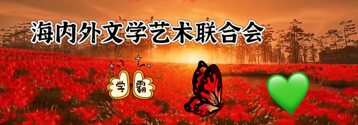 文明荣光｜周智敏（黄鹤楼诗词讲解志愿者）（图6）