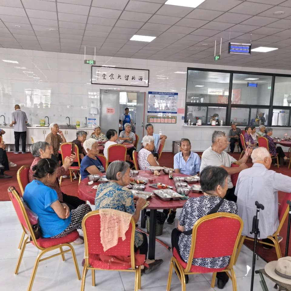 【燕赵文学】纪实散文：一餐热饭里的乡情——记西北留村老年大食堂爱心志愿者（河北/张喜魁）（图2）