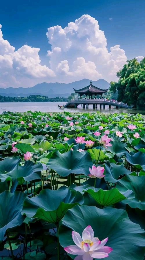 《弱肉强食从来没变过》文/田彬——名家作品（图2）