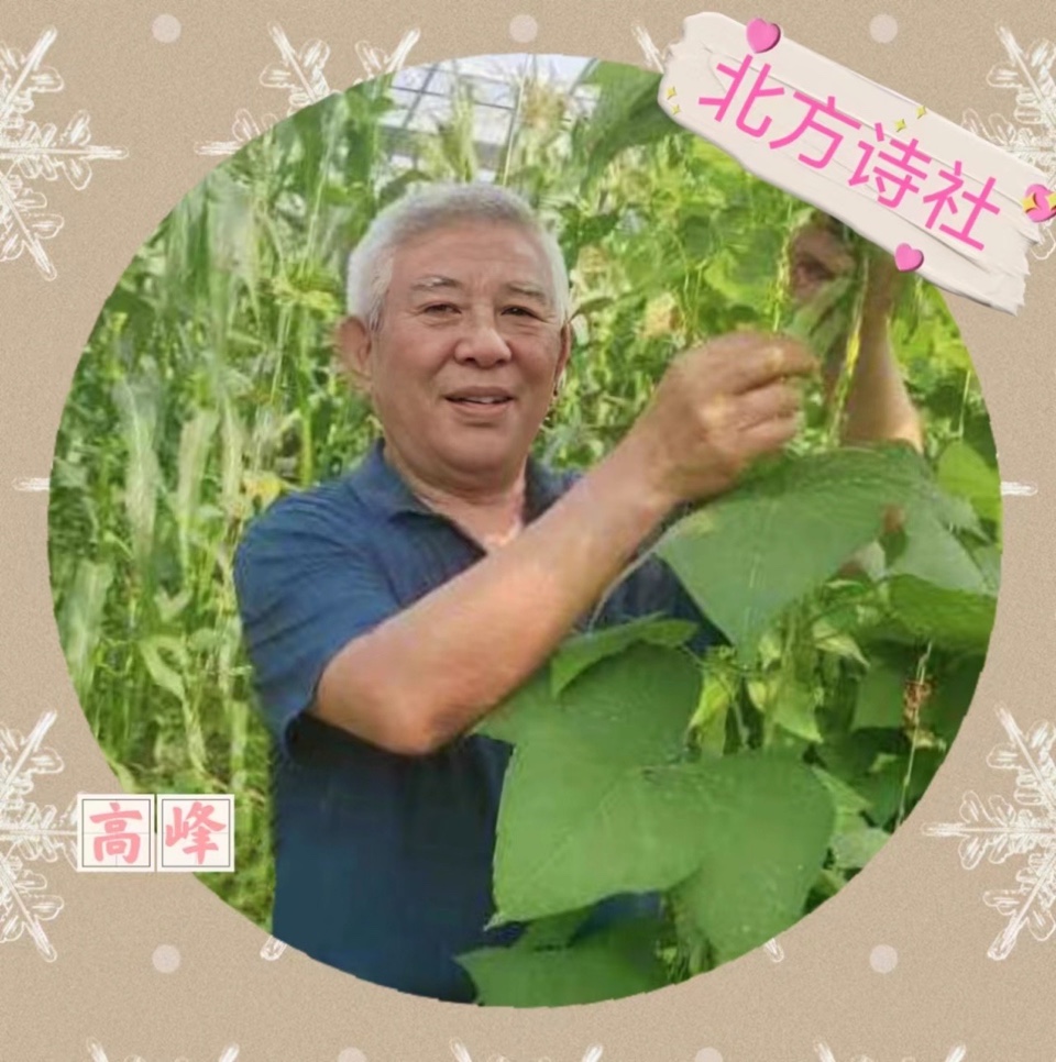 【东林北方诗社】隆重推介高峰《七律·帽儿山老爷岭生态站抒怀》主播赵炜//编辑尤淑珍//音审星玉//图片淘淘//总第 6132期（图5）