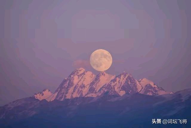 月夜闲语——甘会文/（每日诗记）（图4）