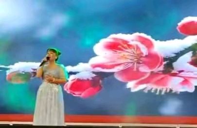 七排律-前黄七一盛会暨福粿助农夜市纪盛～李宣财（图26）