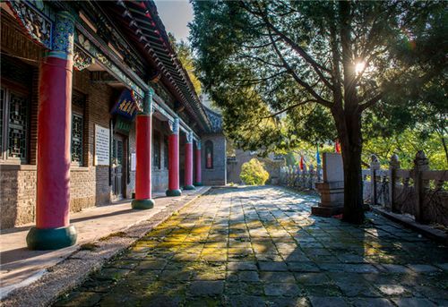 班京《王尔烈千山苦读记》诵读:帝企鹅阿玲(图6)