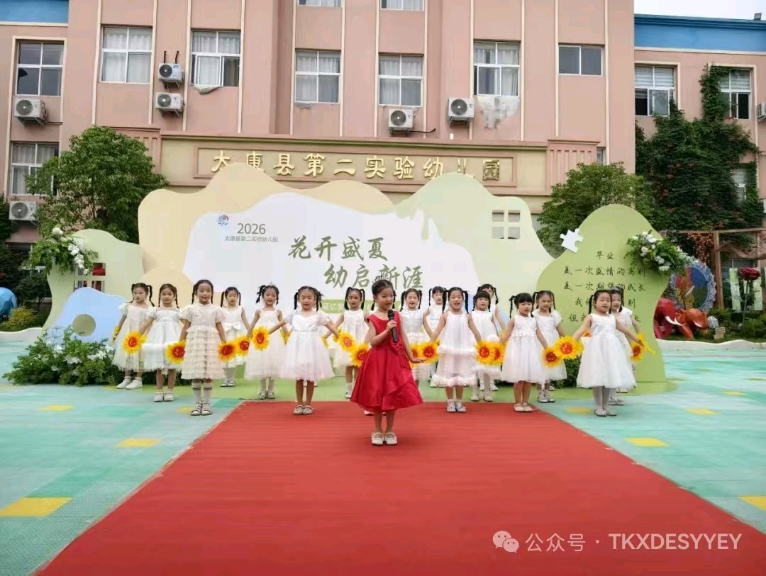 惜别稚园 逐梦新程 文/李德强（图2）