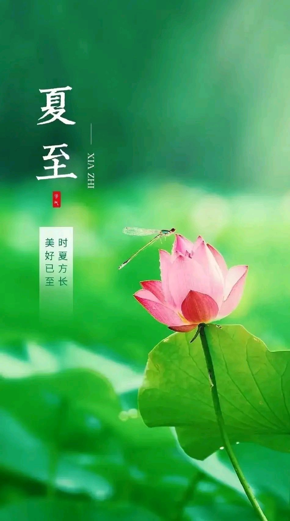 【神州源流诗苑】第1509期优秀近体诗周刊(图9)