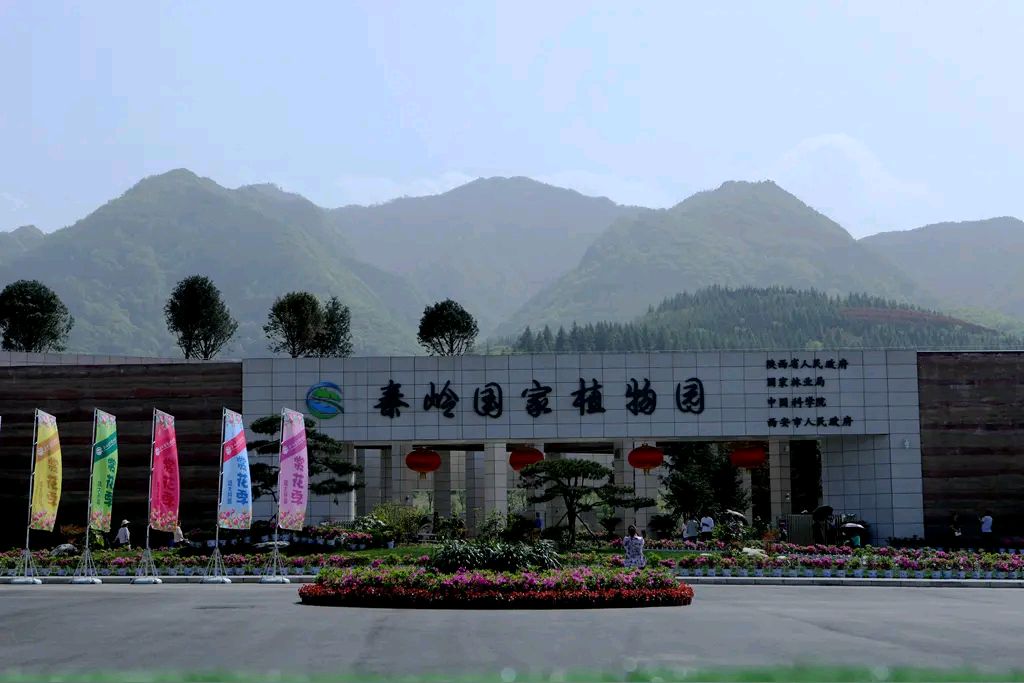 张仪‖吃喝玩乐在周至(图7)