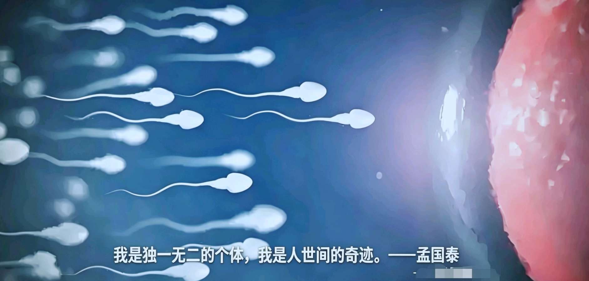 在标准化的荒原上种花:孟国泰教育哲学的“个体突围”(图3)