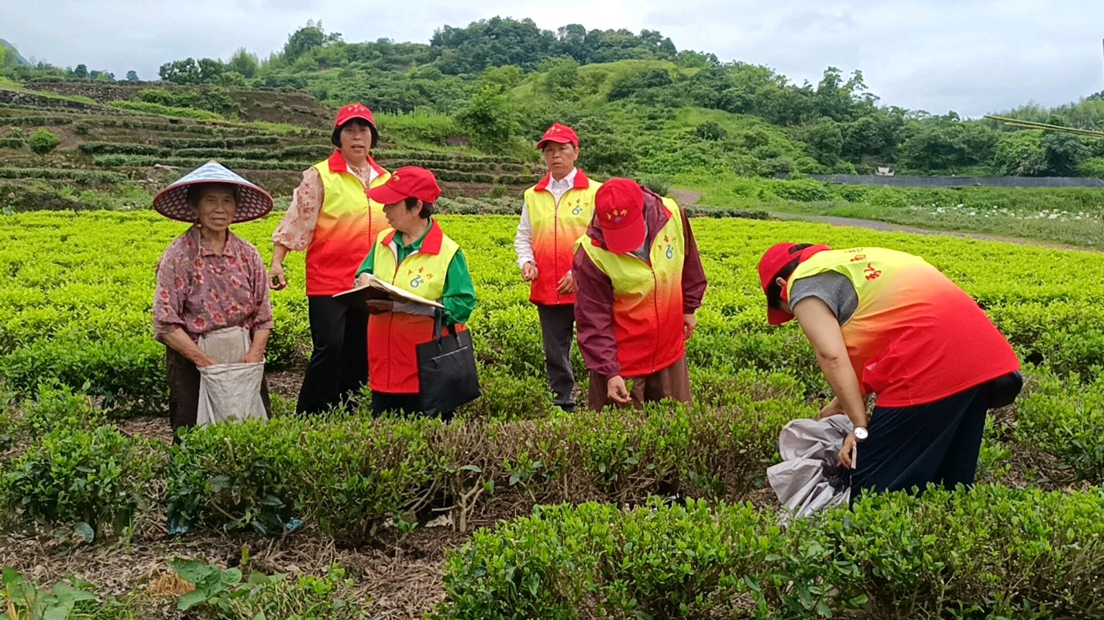 畲乡察种养 温情暖山乡（图3）