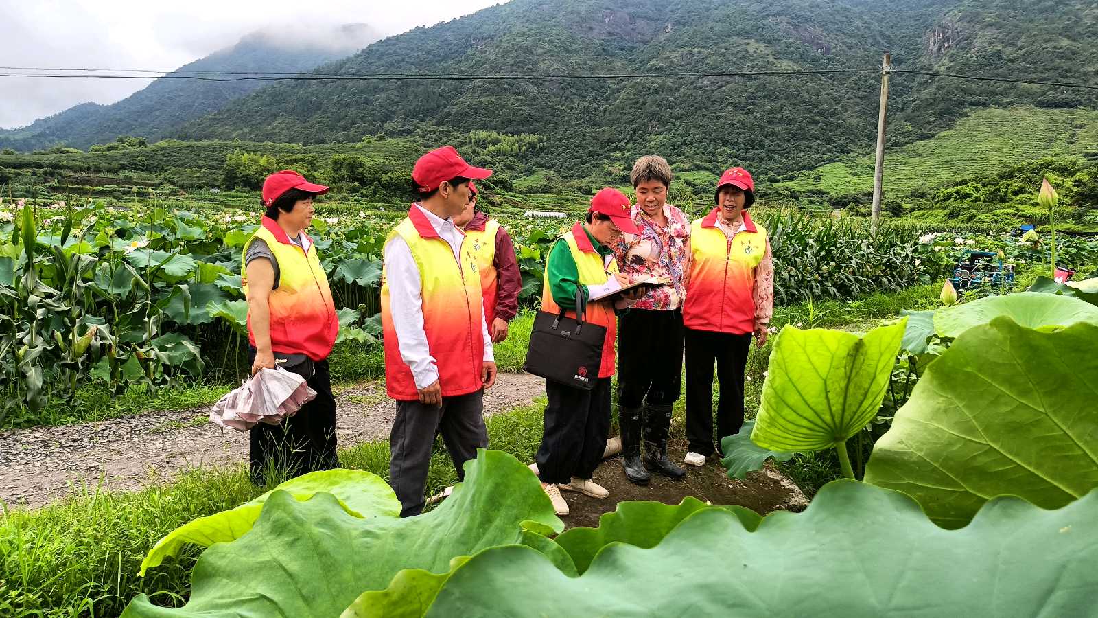 畲乡察种养 温情暖山乡（图4）