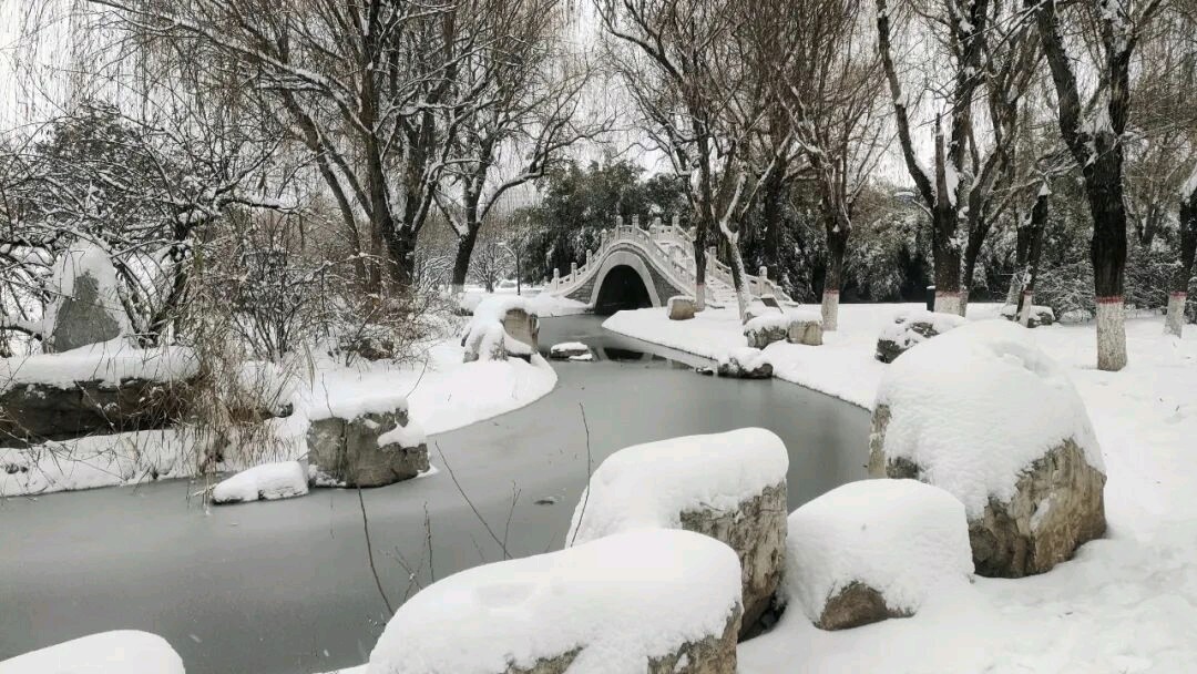 五言绝句 雪文/苟双进（图4）