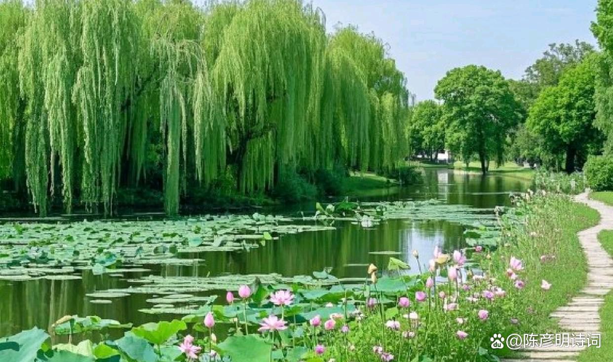 七律·暮年自乐（新韵）【二首】 文/快乐人生（图2）