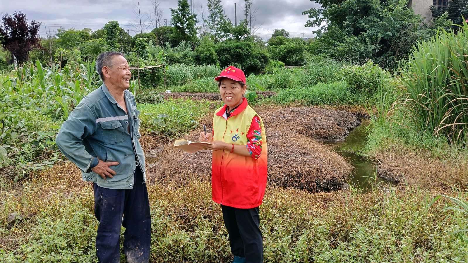 踏访菜园地 志愿暖农心（图3）