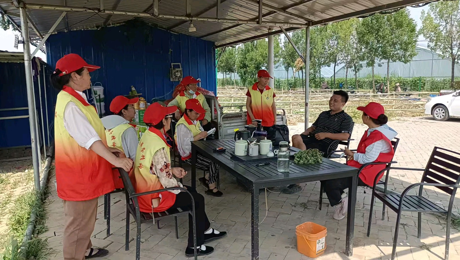 一分地认领惠城乡 志愿者调研助振兴(图4)