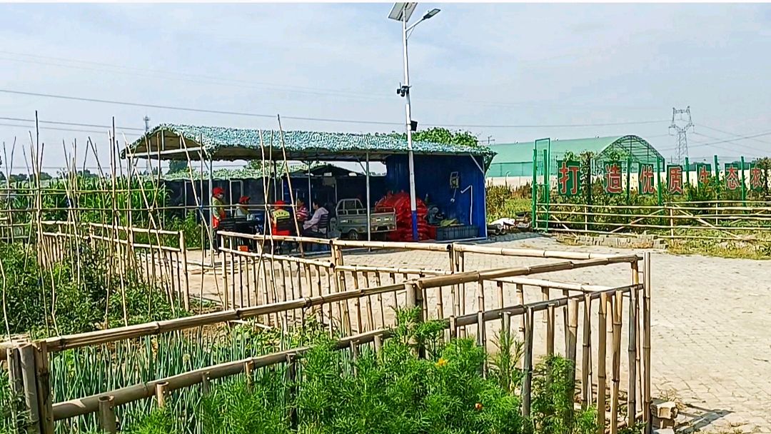 一分地认领惠城乡 志愿者调研助振兴(图5)