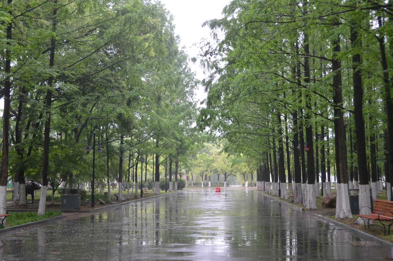 量子诗歌•文同文化社同题诗《下雨了，我们没有带伞》作者：诗社文友——文化强国量子诗歌实验室（筹）（图23）