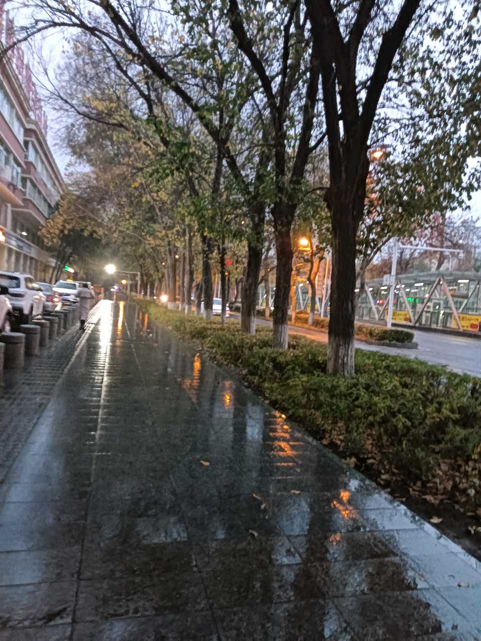 量子诗歌•文同文化社同题诗《下雨了，我们没有带伞》作者：诗社文友——文化强国量子诗歌实验室（筹）（图40）