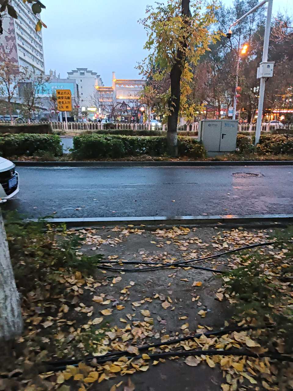 量子诗歌•文同文化社同题诗《下雨了，我们没有带伞》作者：诗社文友——文化强国量子诗歌实验室（筹）（图44）
