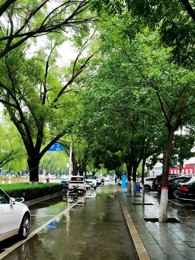 量子诗歌•文同文化社同题诗《下雨了，我们没有带伞》作者：诗社文友——文化强国量子诗歌实验室（筹）（图58）
