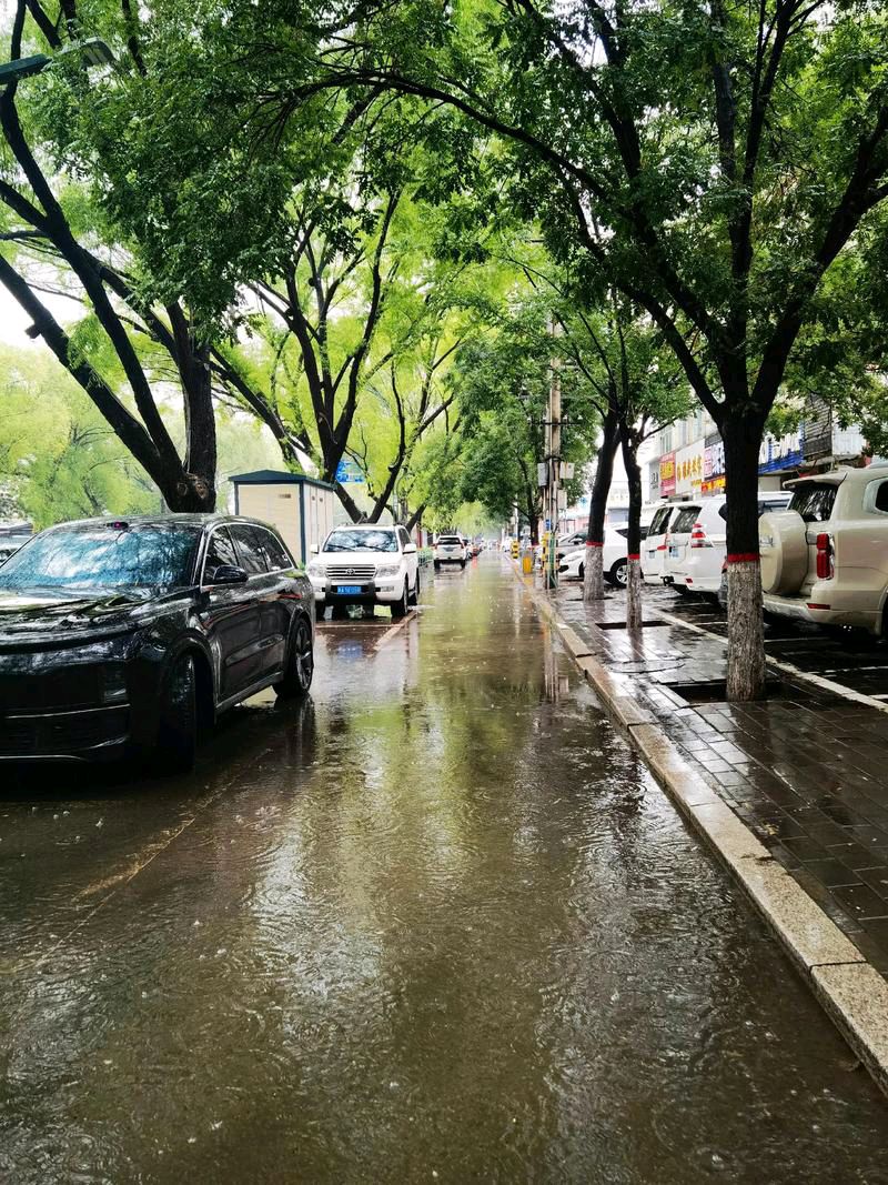 量子诗歌•文同文化社同题诗《下雨了，我们没有带伞》作者：诗社文友——文化强国量子诗歌实验室（筹）（图62）
