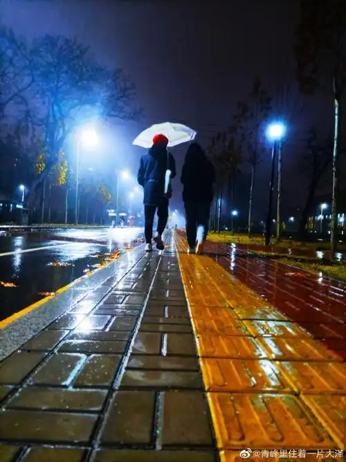 量子诗歌•文同文化社同题诗《下雨了，我们没有带伞》作者：诗社文友——文化强国量子诗歌实验室（筹）（图74）