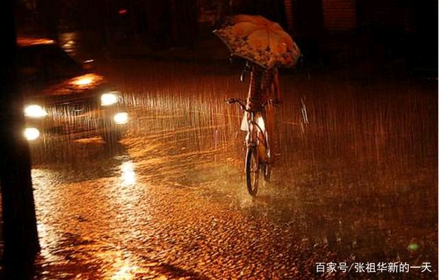 量子诗歌•文同文化社同题诗《下雨了，我们没有带伞》作者：诗社文友——文化强国量子诗歌实验室（筹）（图82）