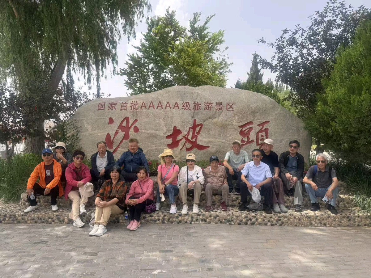 塞上行吟诗一组/张昕（图11）