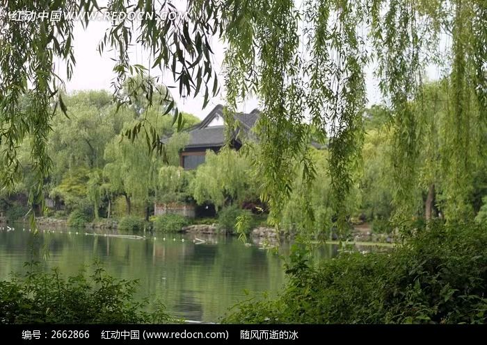 【荣耀中国】文学社*五绝 盛夏果瓜黄文/南山翁(图6)