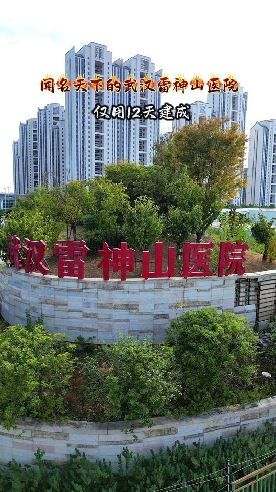 回望新冠疫情二首~李耀文(辽宁)(图11)