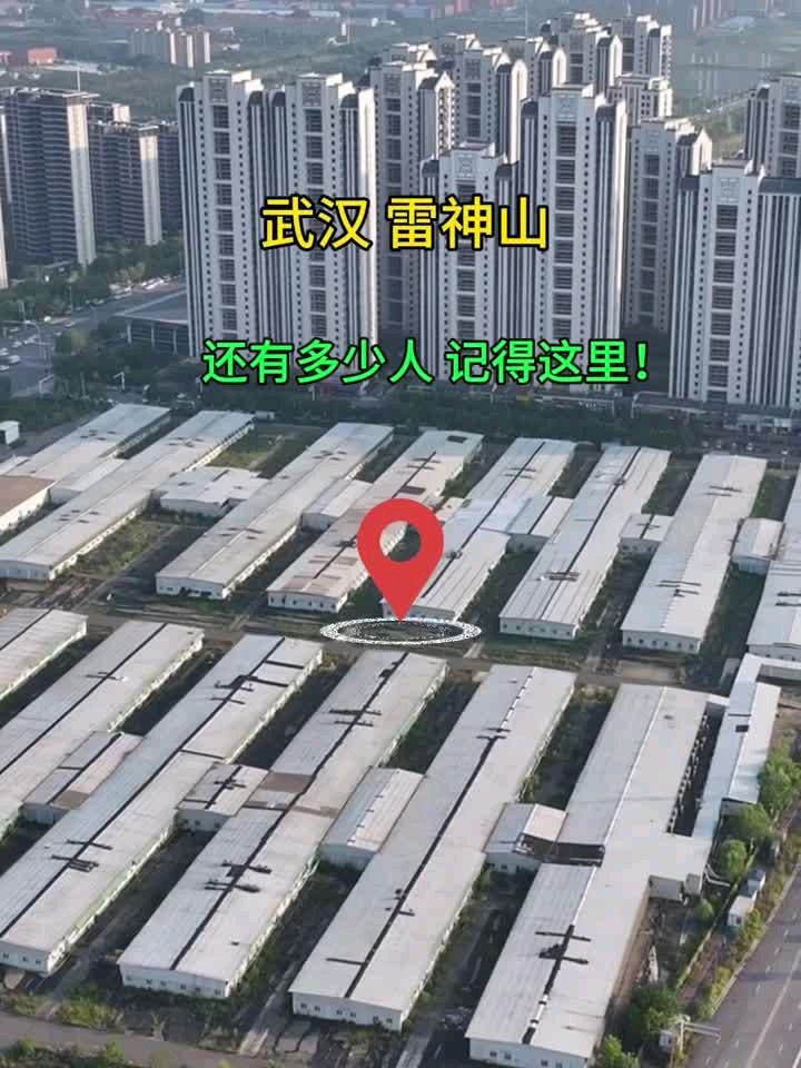回望新冠疫情二首~李耀文(辽宁)(图16)