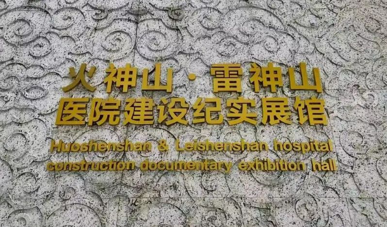 回望新冠疫情二首~李耀文(辽宁)(图18)