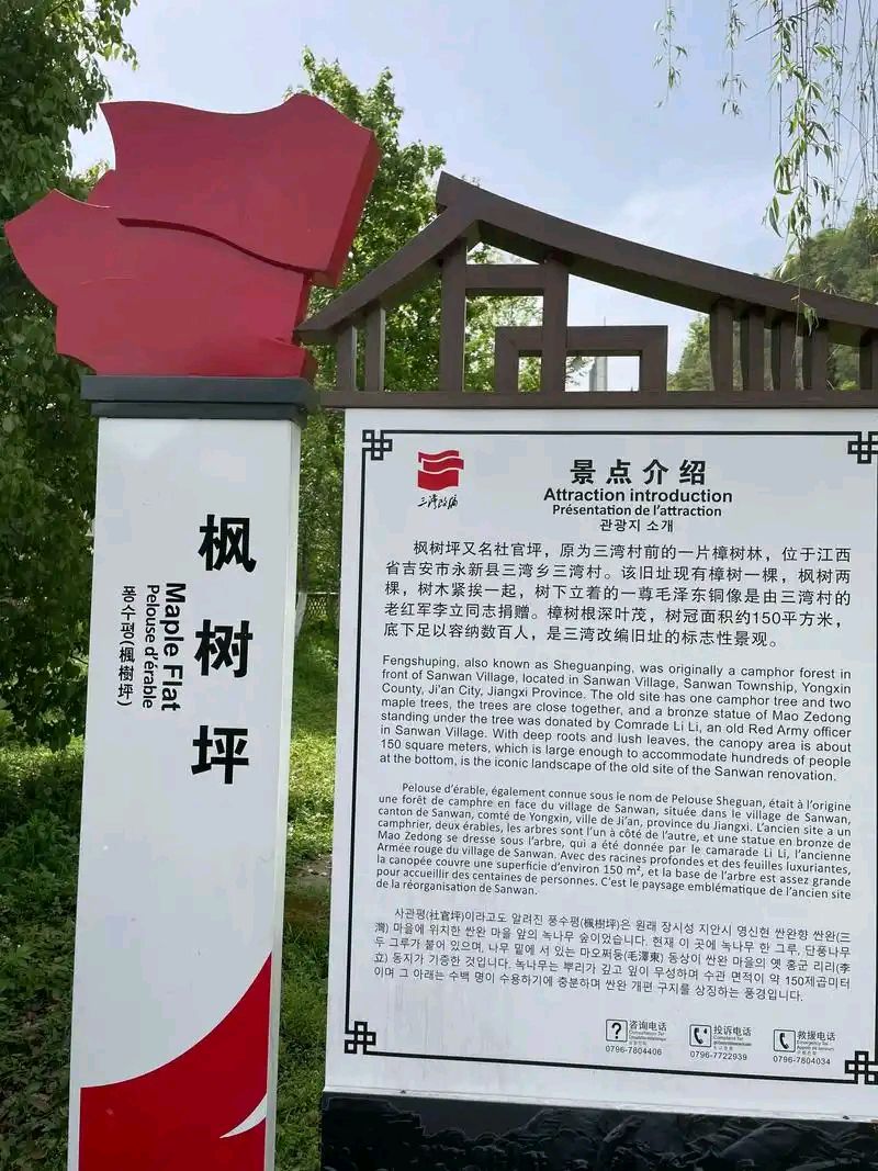 请欣赏《枫树坪的火种》作者/柳林堡主 主播/福音 编辑/福音【中国长江文学社】有声文学平台【第18786期】（图3）