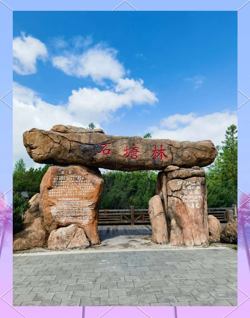 【燕赵文学】游记：东北散记④——阿尔山猎奇擷翠（河北/青山依旧）（图3）