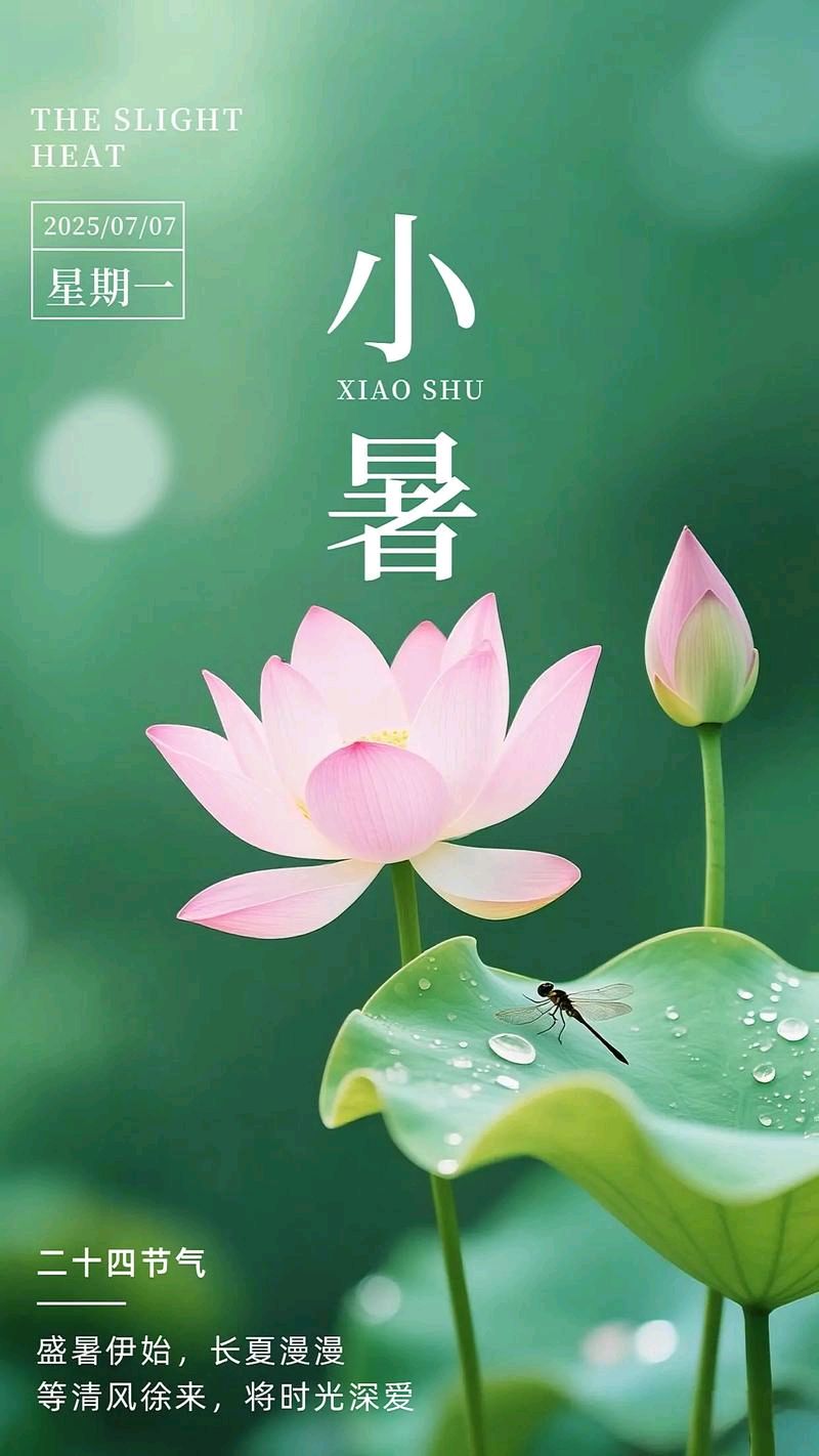 严宗碧老师精彩小暑诗词雅赏(图7)