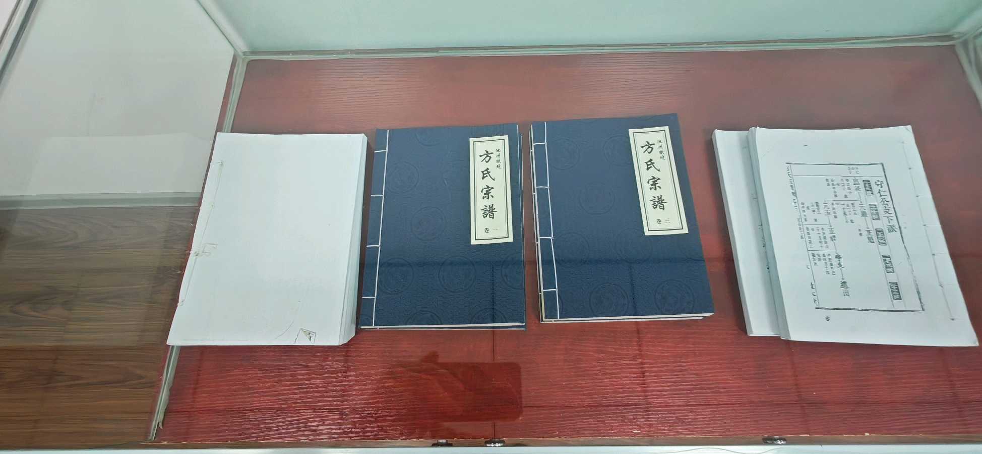 溯源千年文脉 聚力传承发展｜义门方文化研究工作推进会（筹备会）在安徽青阳圆满召开（图17）