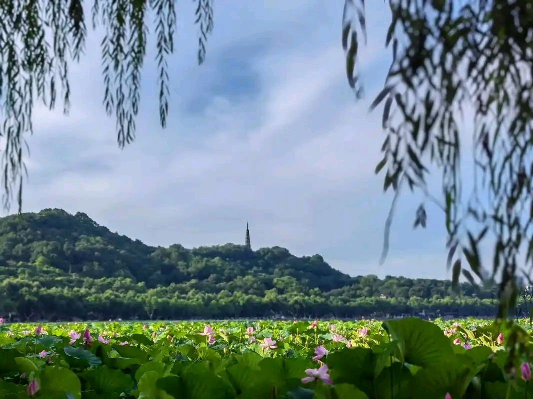 凤凰台上忆吹箫•夏至邀友游西子（晁补之体） 作者:王省南（浙江杭州）（图2）