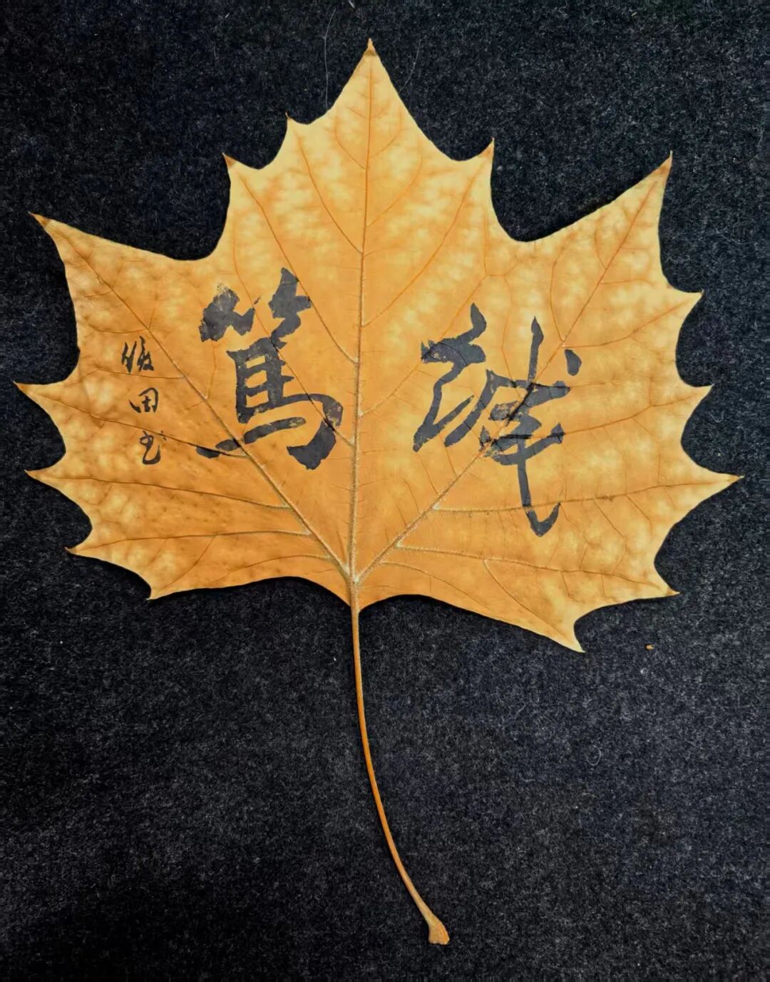 何俊田《众妙之源》中国当代百位书画名家作品专集（图9）