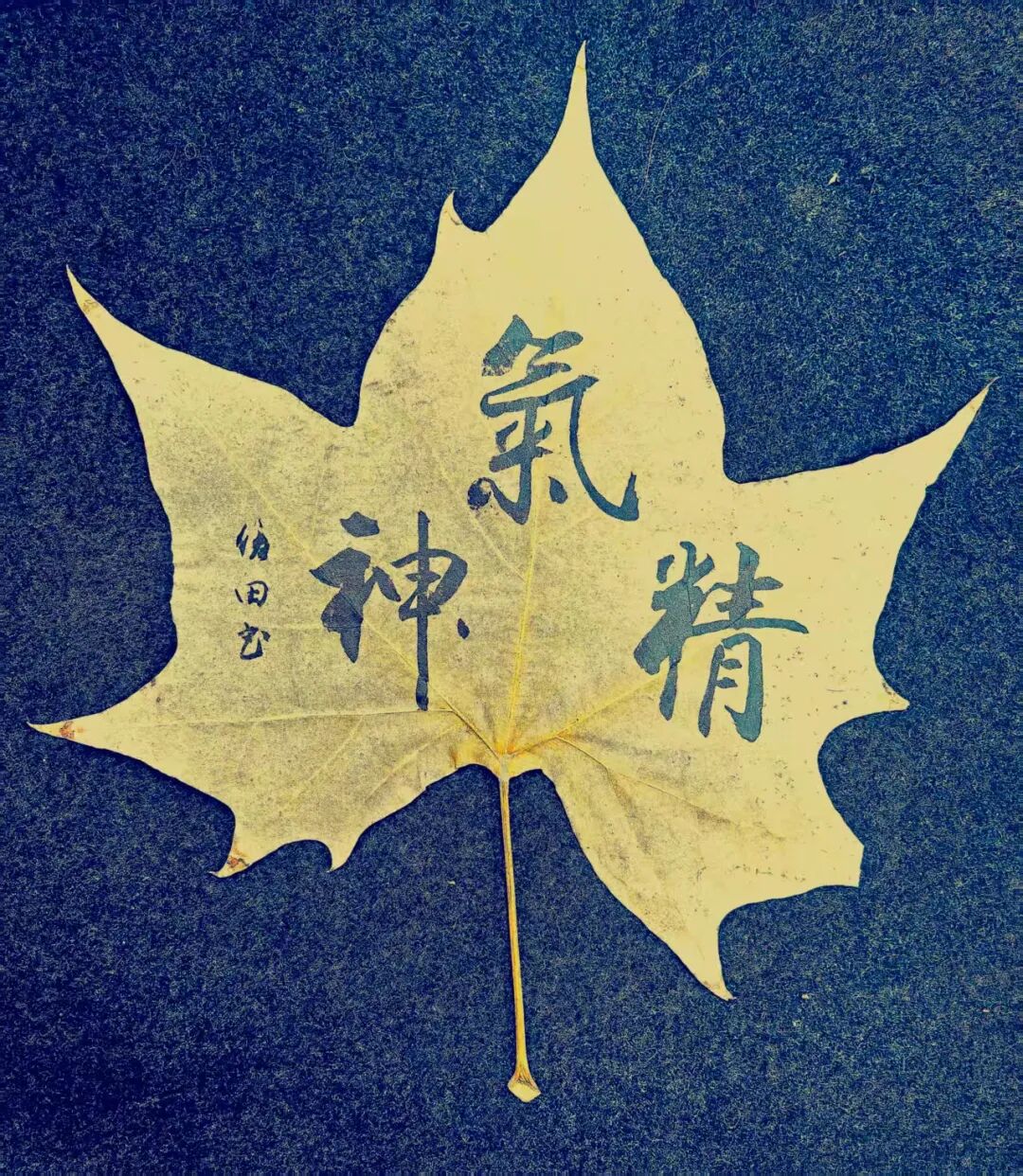 何俊田《众妙之源》中国当代百位书画名家作品专集（图11）