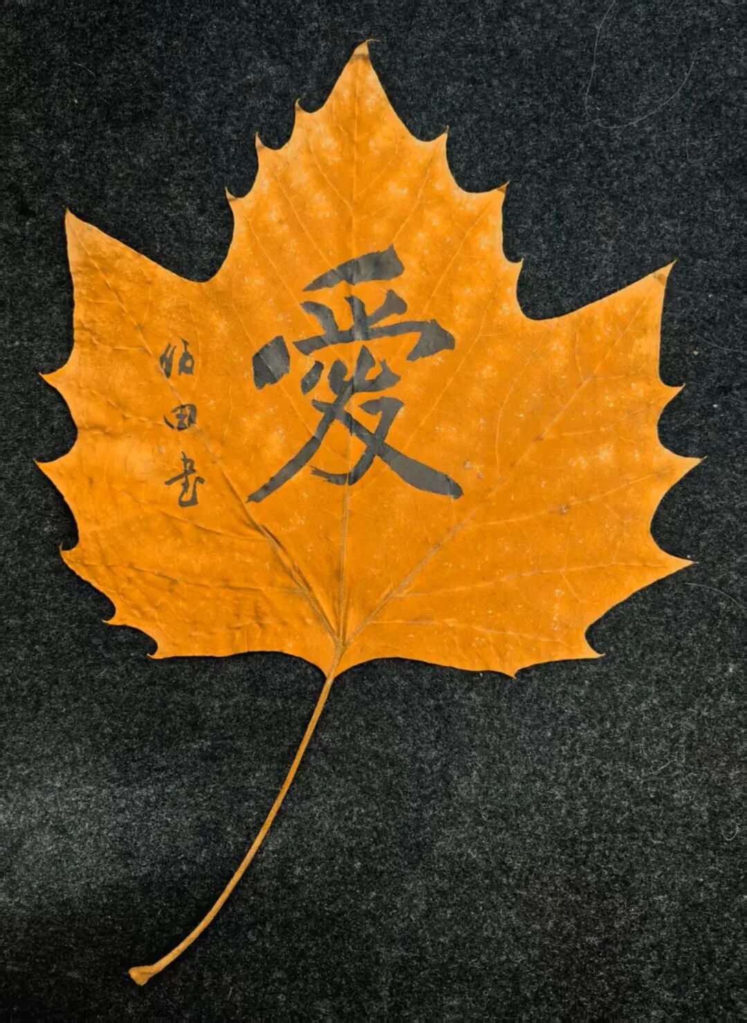 何俊田《众妙之源》中国当代百位书画名家作品专集（图10）