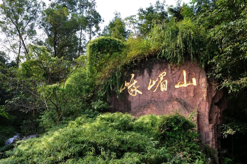 【荣耀中国】文学社*周刊第339期(图4)