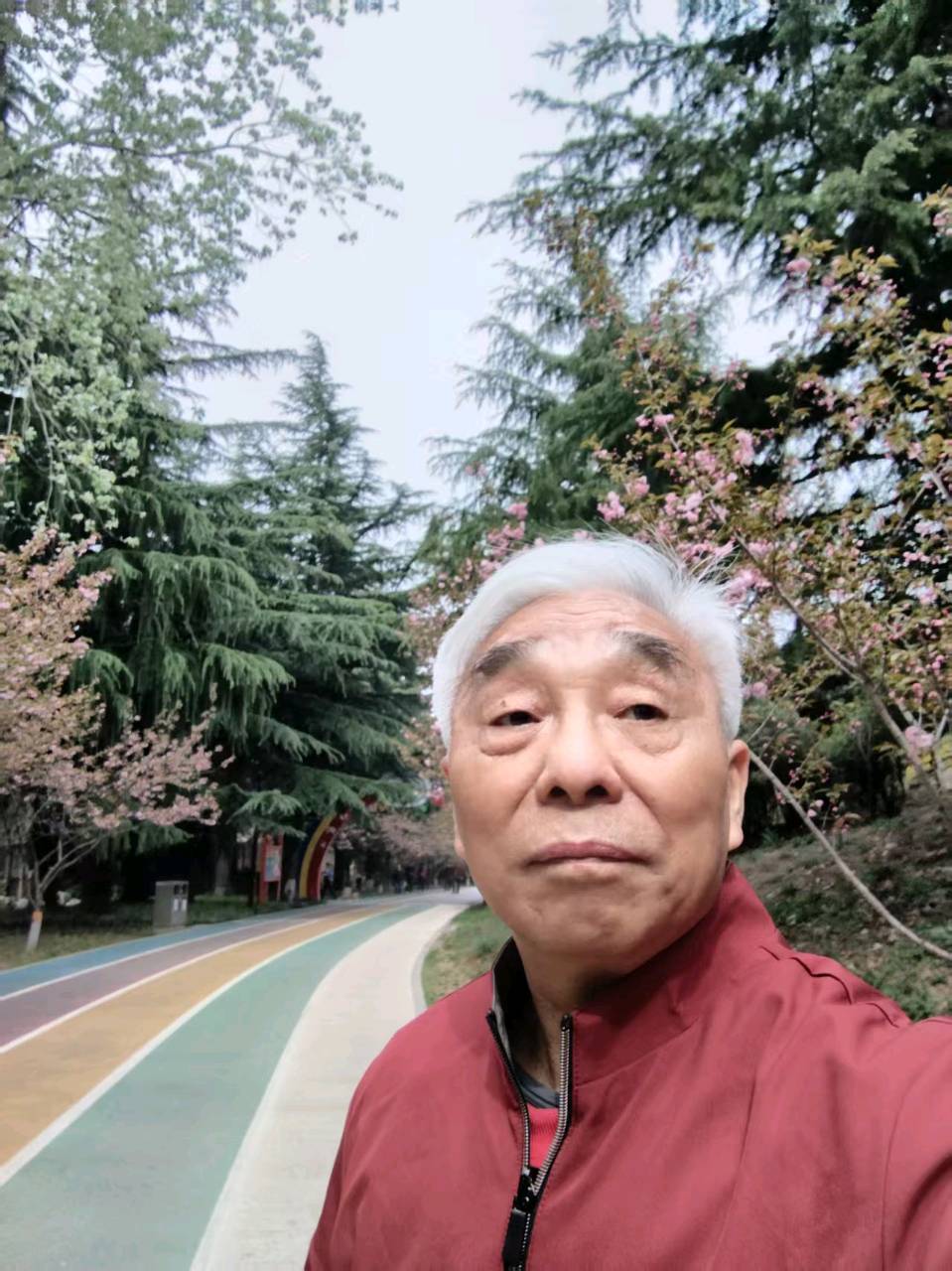 如梦令·夏风 作者:干一（图4）