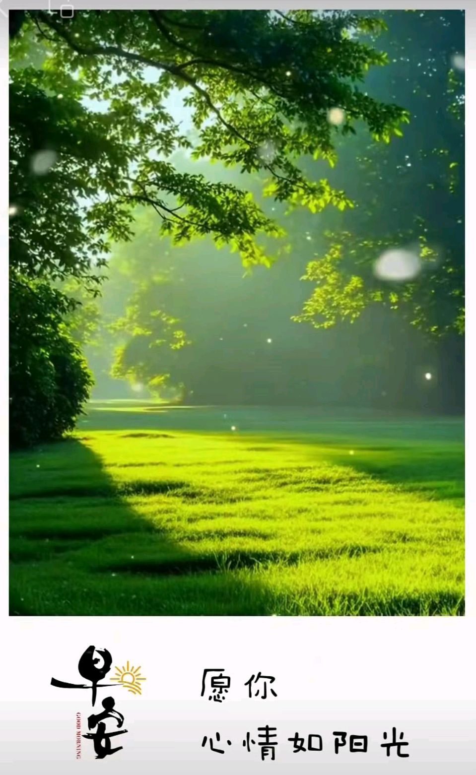 大余有家【草药铺】（图8）