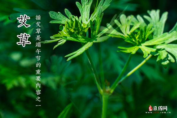 草原雄鹰诗社2026笫23期周刊作品展播《组诗词》作者/草原雄鹰诗社诗人(图6)