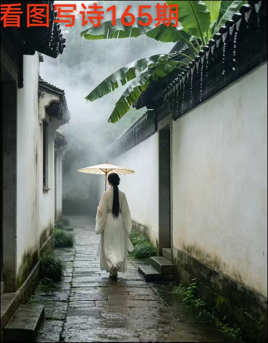 自由诗《小巷雨霏霏》 作者:连振华/广东乐昌（图5）