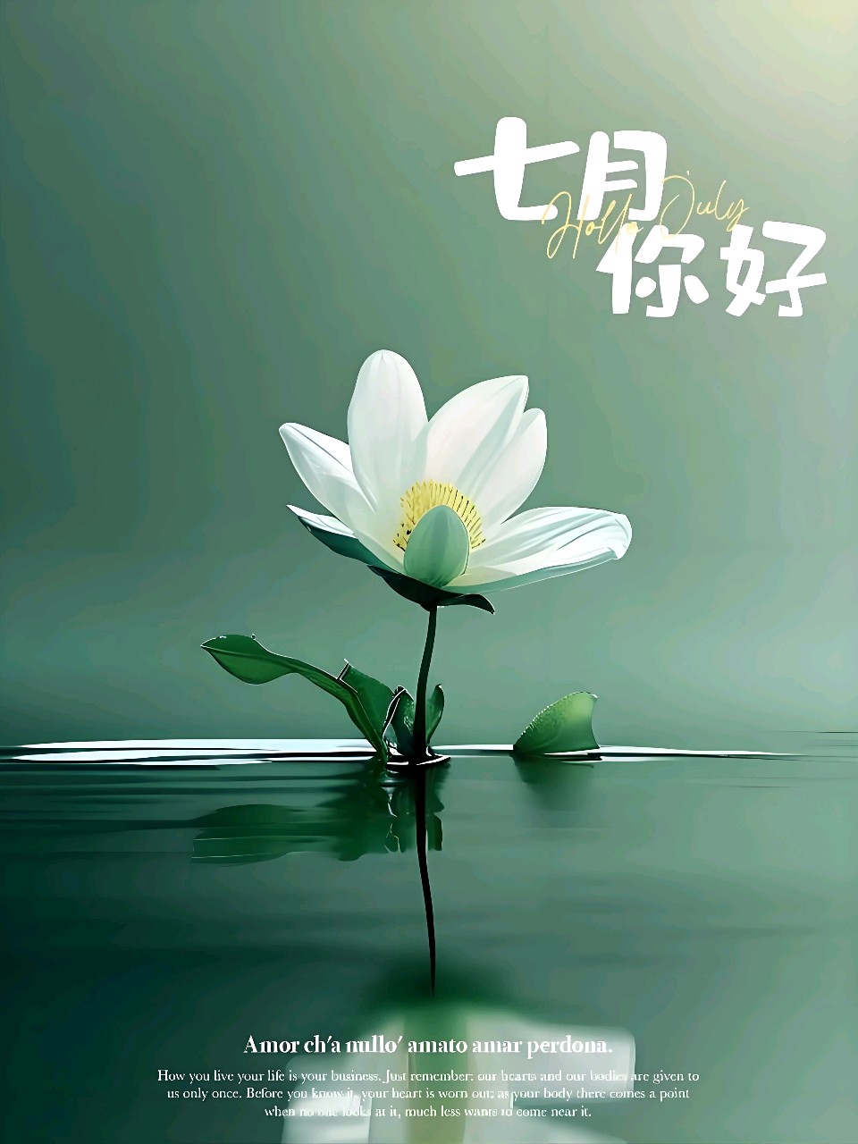 中华红旗国际诗社~北京头条~七月:作者/雨下罗加:朗诵/边城(图4)