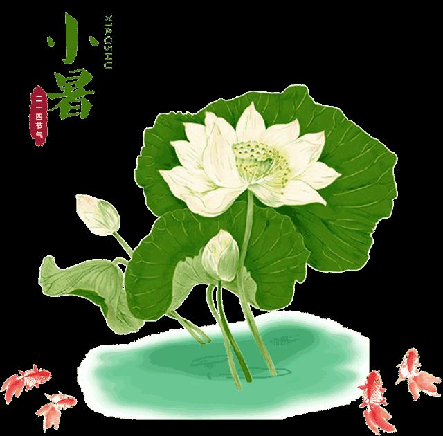 七律《小暑》 作者/白宝泉（图2）