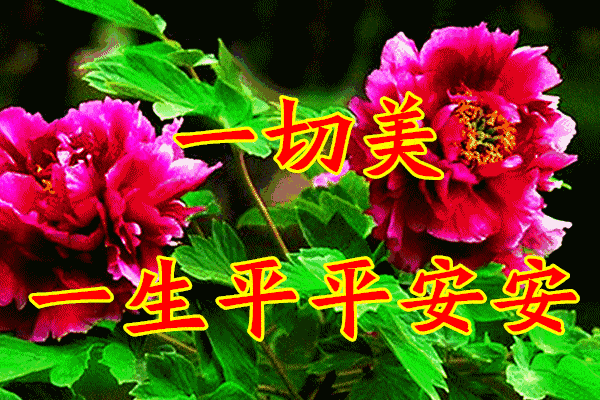 七律《小暑》 作者/白宝泉（图4）