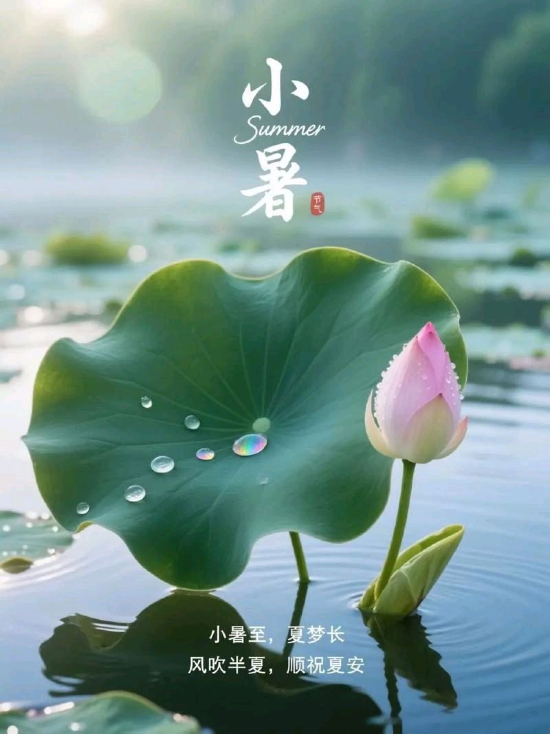 开心诗词文学社 ||《小暑随笔》|| 作者/乡音(湖北)(图4)