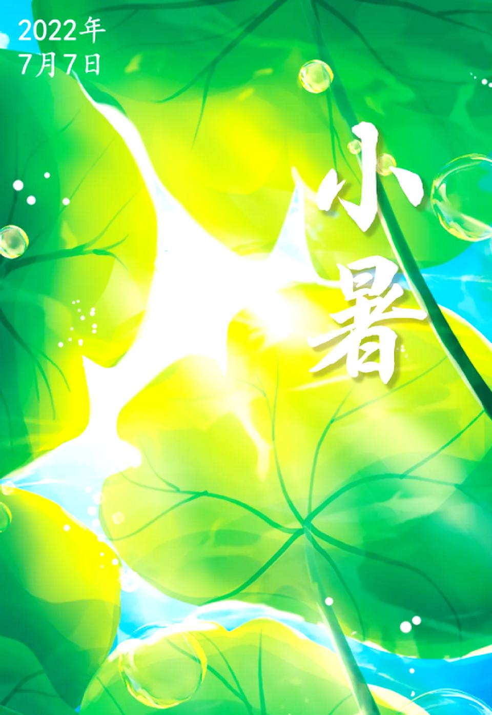 小暑8