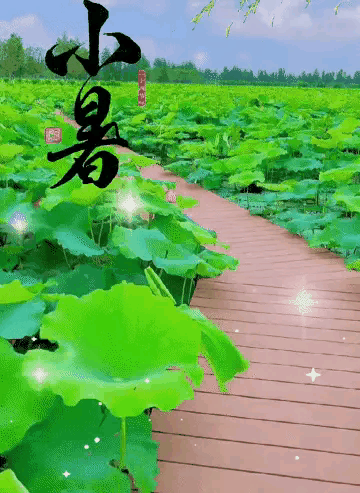 《海天诗画》名家精品诗三首作者‖小辉（广州）（图3）